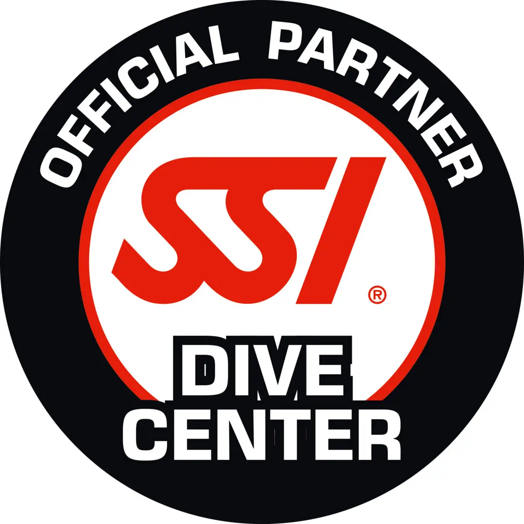 Presentation-Dive Center